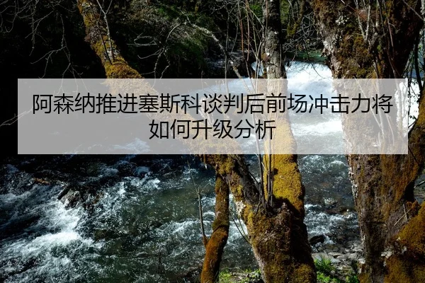 阿森纳推进塞斯科谈判后前场冲击力将如何升级分析