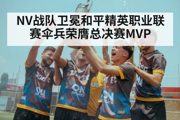 NV战队卫冕和平精英职业联赛伞兵荣膺总决赛MVP